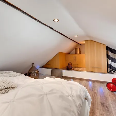 Apartamento Le Duplex Atypique Superbe Coeur Centre *