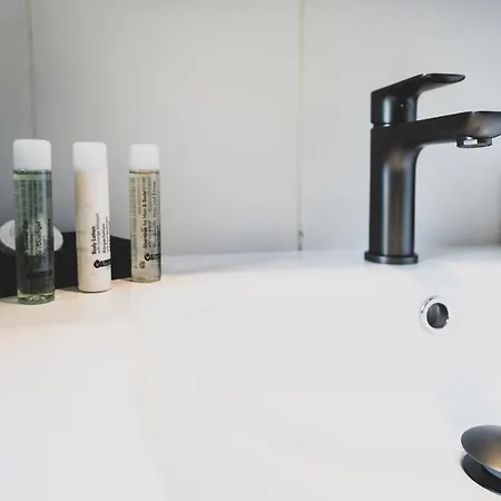 Le Duplex Atypique Superbe Coeur Centre Annecy