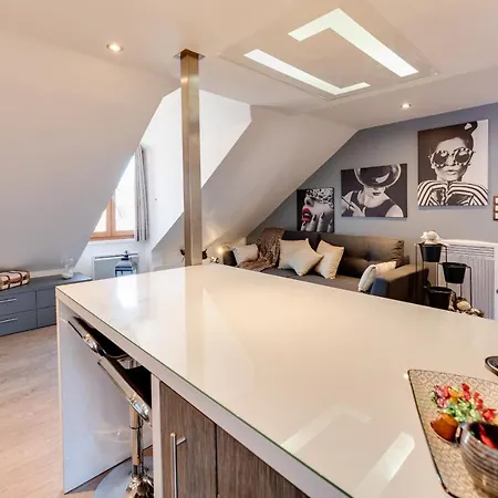 Le Duplex Atypique Superbe Coeur Centre