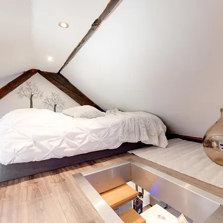 Le Duplex Atypique Superbe Coeur Centre *